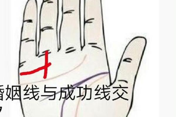 了解面相手相：它们真的能预示未来吗