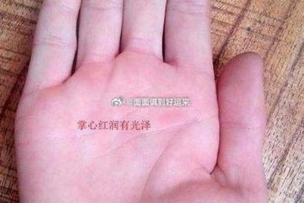 了解面相手相：它们真的能预示未来吗