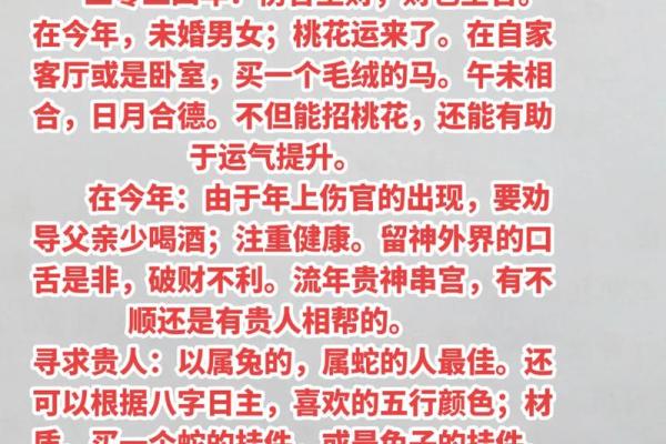 命理属性与人生运势的深度解析