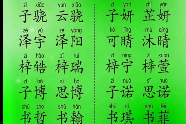 猴宝宝起名大全免费 最具创意的名字灵感