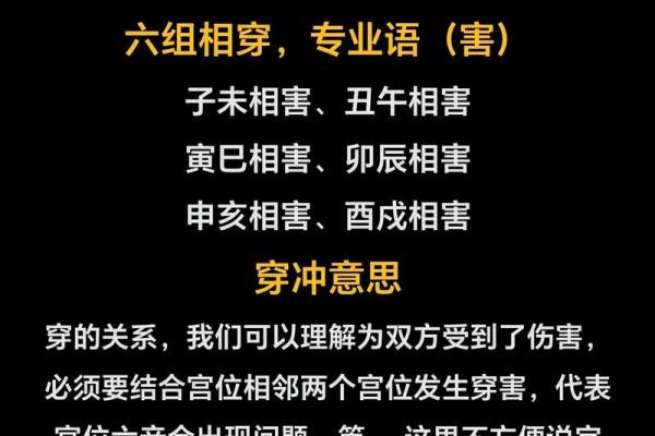 十二地支阴阳与命理解析：如何影响人生运势