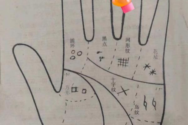 手相的真实性：科学与传统的交锋