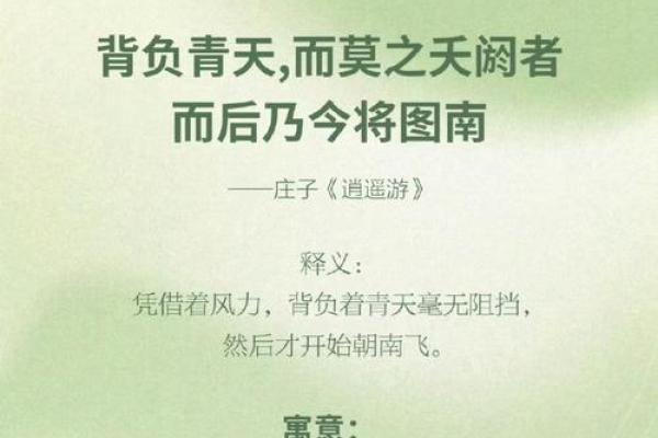 探索有寓意的名字背后的文化与故事