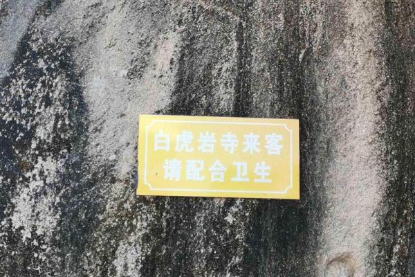 探索有寓意的名字背后的文化与故事