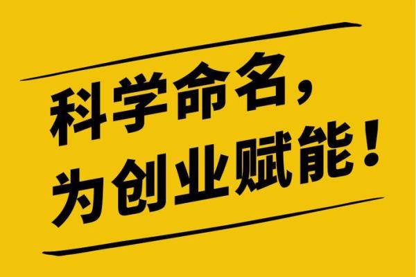 全方位公司免费起名大全，开启您的创业之旅