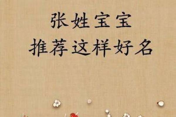 张姓宝宝名字大全：现代与传统的完美结合