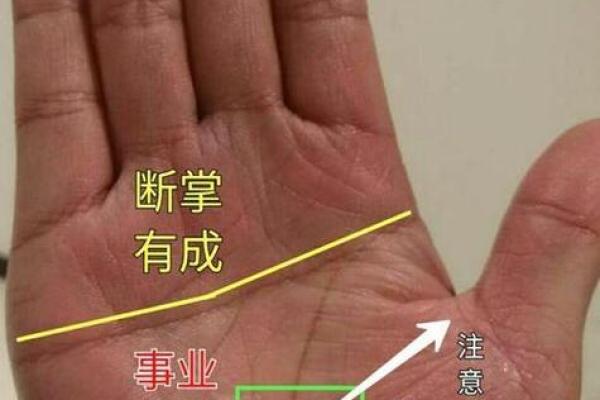 金星带手相与爱情命运的关系，你了解多少？