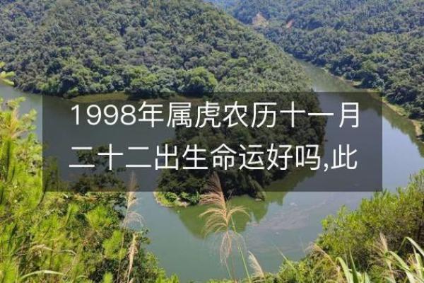 生肖虎今日运势：机遇与风险并存，决策需更加果断