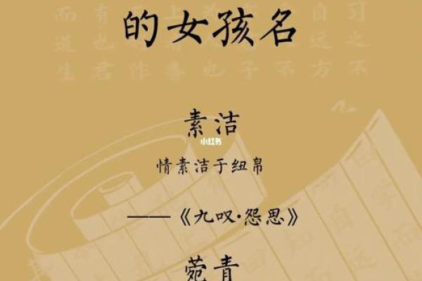 适合女生的优雅名字推荐