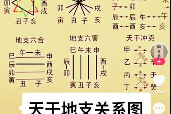 十二地支与五行属性的深度解析与应用