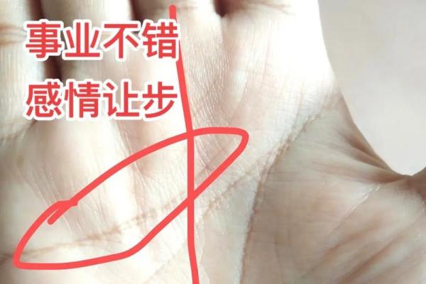 川字掌手相的秘密解析：揭示人生与命运的独特密码