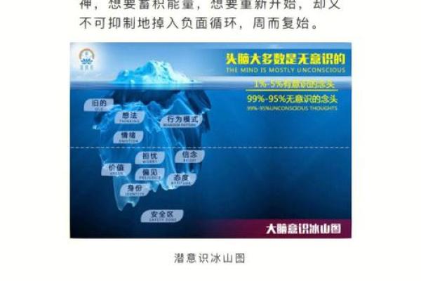 十二地支与生肖的神秘关联揭示了命运的深层秘密