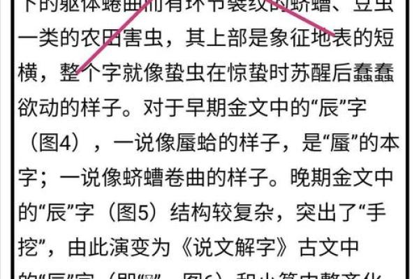 念字在取名中的深刻寓意与象征意义解析
