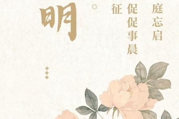 念字在取名中的深刻寓意与象征意义解析