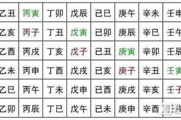 十二地支阴阳属性的深度解读