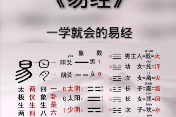 书字的五行属性解析与文化意义探讨