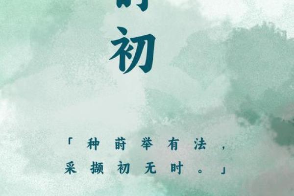 用泽字起名，寓意水润生命与光明未来