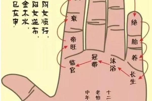 十天干十二地支的正确读音与记忆技巧解析