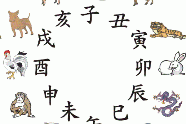 十二生肖与五行属性关系解析：详细对照表揭示隐藏的性格特点