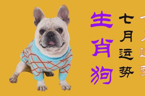 生肖狗今日运势运程：心态平和，迎接好运来临