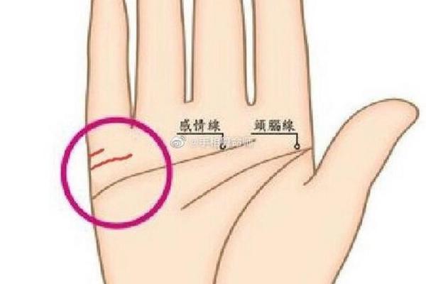 手相占卜揭秘：从手掌线条看透你的未来与性格