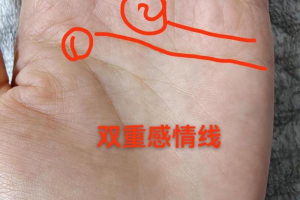 手相占卜揭秘：从手掌线条看透你的未来与性格