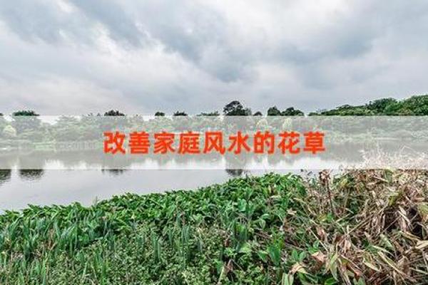 家居风水砂选择与布置，打造和谐环境