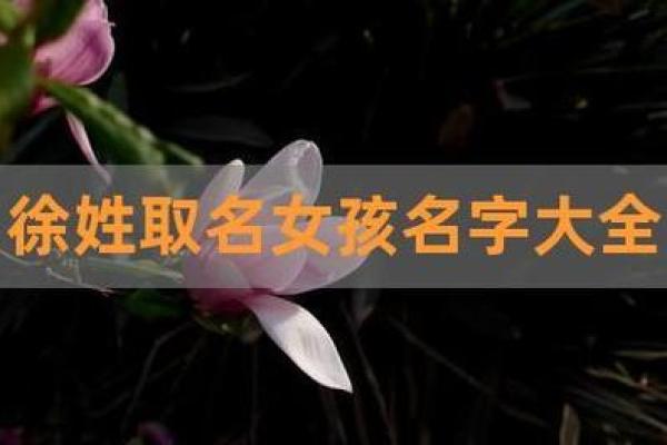 寓意美好的佳字女孩名字大全
