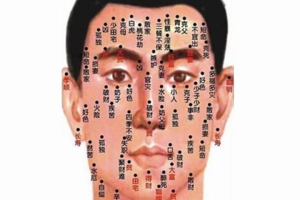 痣相学：你身上的痣暗示着什么？