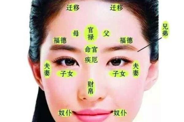 下巴长的女性面相特征及其运势解读