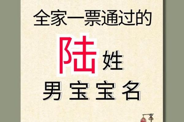 陆姓女孩名字推荐与解析