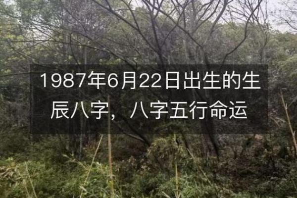 生辰八字分析：揭示命运的奥秘与人生走向