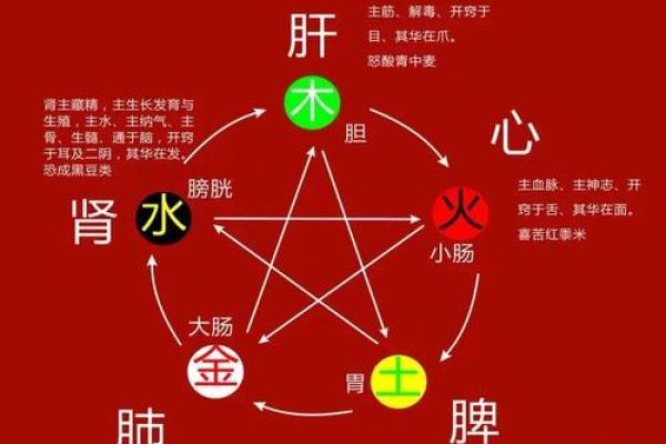 命理缺水者的财运与健康调整指南