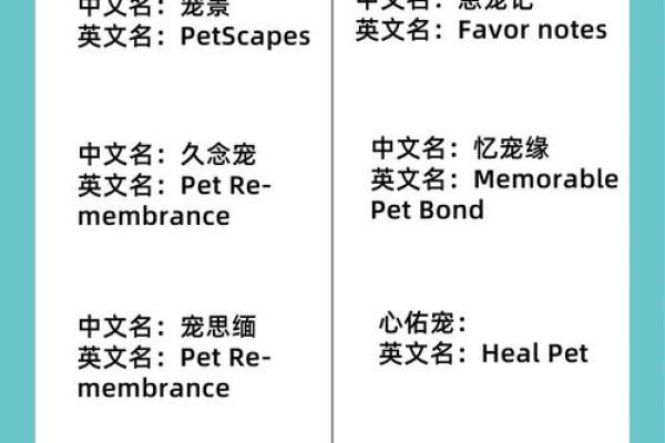 给宠物起名的创意方法和技巧