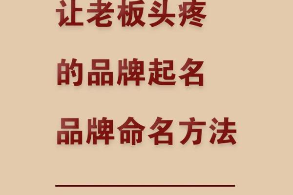 专业起名公司助力品牌塑造与发展