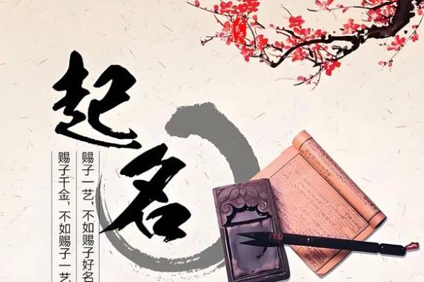 如何为林姓宝宝选择有意义的名字