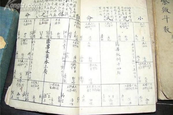 免费八字测算工具，精准分析命运走势