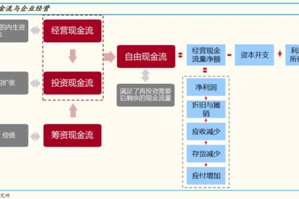 成功公司名字的选取策略与常见陷阱