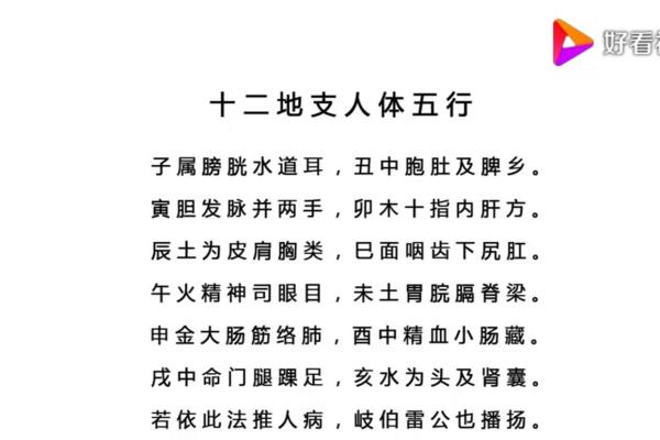 如何通过十二天干地支预测未来运势
