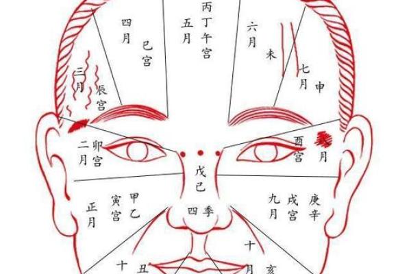 如何通过十二天干地支预测未来运势