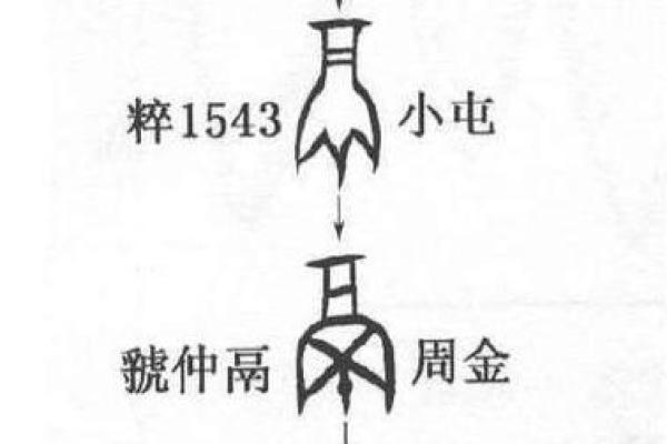 十二天干的起源与文化意义探析