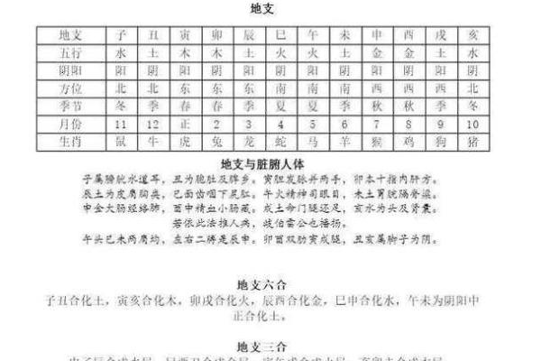 深入解析八字命盘揭示人生潜力与命运轨迹