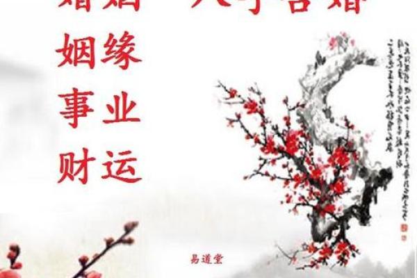 生辰八字对婚姻稳定性的深层影响