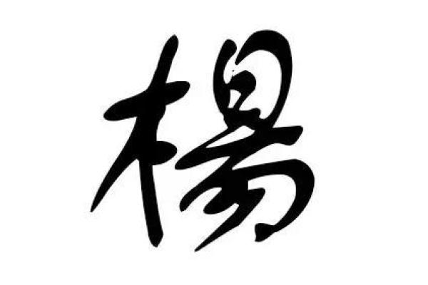杨姓男孩名字大全 有意义的选择指南