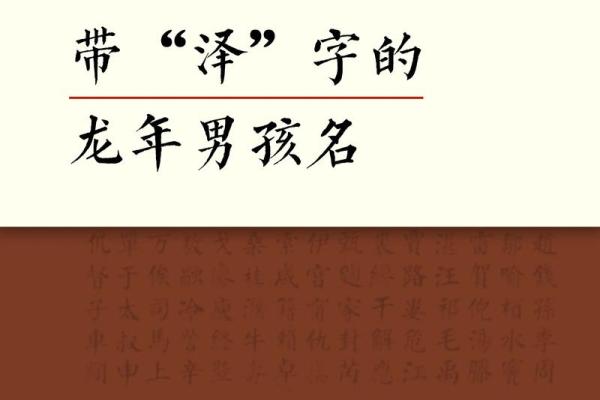 龙年男孩取名最佳用字解析与推荐