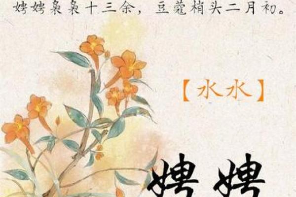 芳字在取名中的寓意与象征意义解析