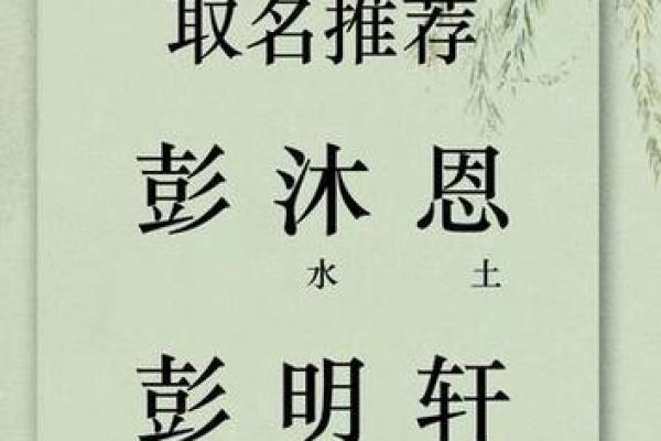 彭姓男孩取名技巧与独特寓意解析