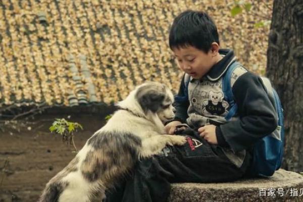 现代与传统结合的孩子取名新趋势