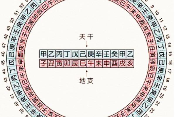 探究天干地支如何与数字相互联系