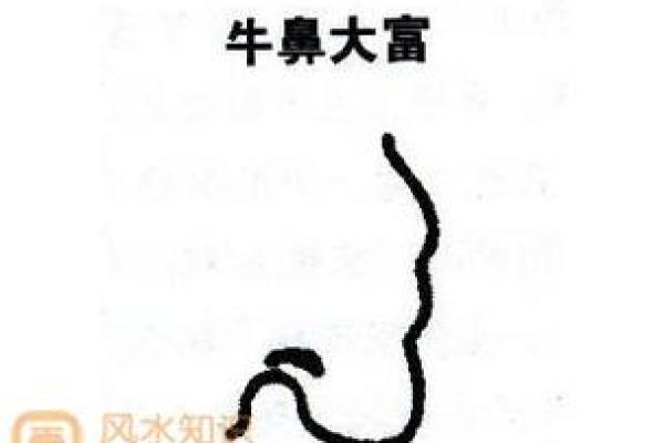 你有牛鼻面相吗？看看这种面相如何影响人生走向